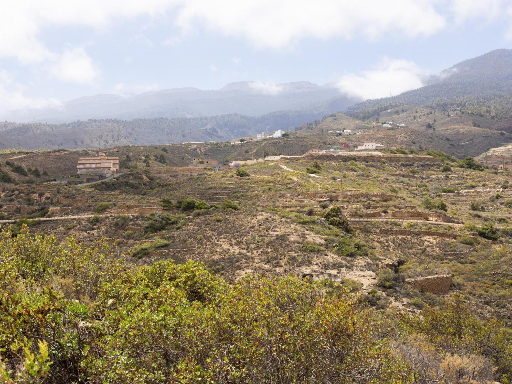 Live Arico El Cortijo Con Solarium & Terrace Ferienhaus Arico Viejo